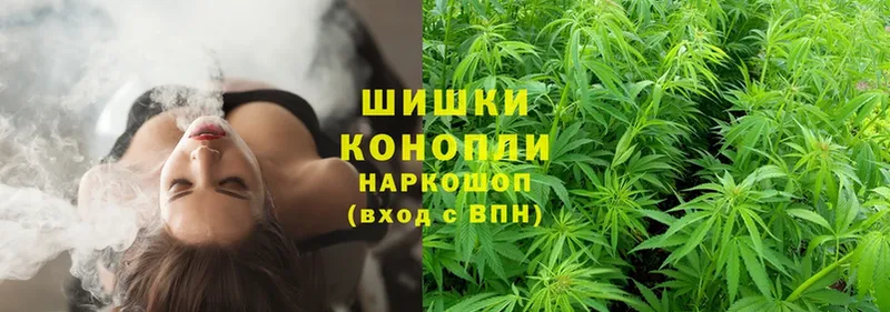 купить наркоту  кракен tor  Марихуана OG Kush  Майкоп 